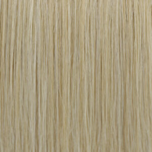 Dark Golden Blonde